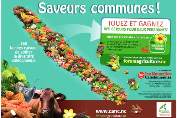 Un jeu pour soutenir l’agriculture locale
