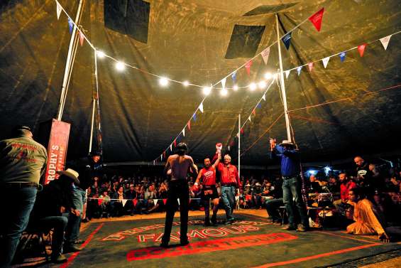 Brophy et ses boxeurs, les rois du bush