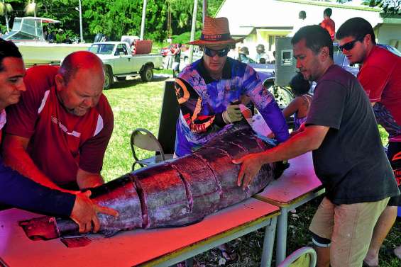 Le concours de pêche au gros appâte