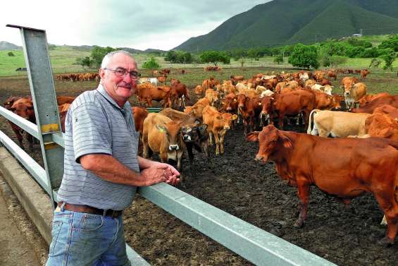 Contre la sécheresse, l’élevage  s’ouvre à de nouvelles techniques