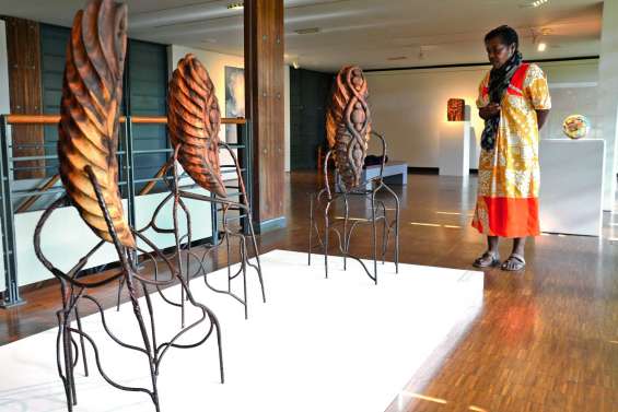 Les établissements publics à la loupe