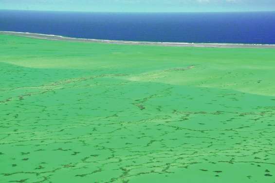 Le parc marin prend une forme juridique