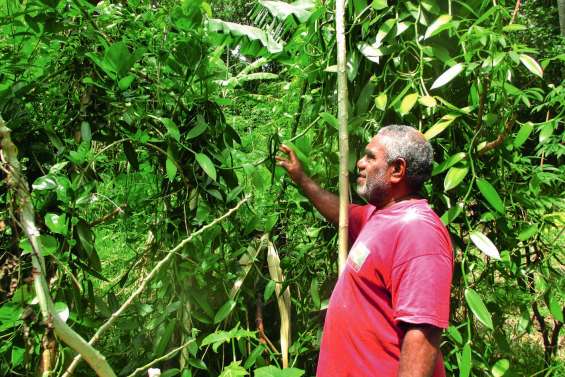 Alfred Kavivioro cultive l’amour de la terre