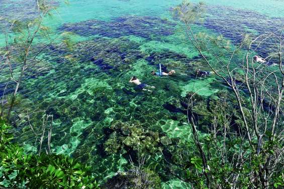 Les forfaits iBozu s’affichent sur Internet