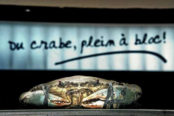 La pêche aux crabes de nouveau autorisée