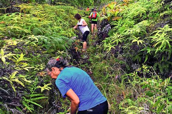 Un nouveau tracé pour la rentrée
