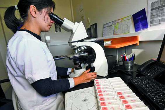 Cancer du sein : avis défavorable pour le remboursement de tests prédictifs du risque de rechute