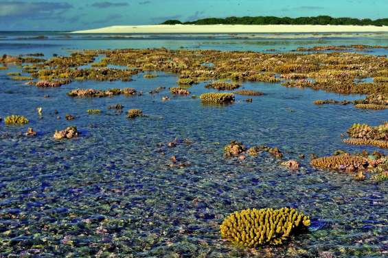 Le Ponant « suspend » son projet  de croisière aux Chesterfield