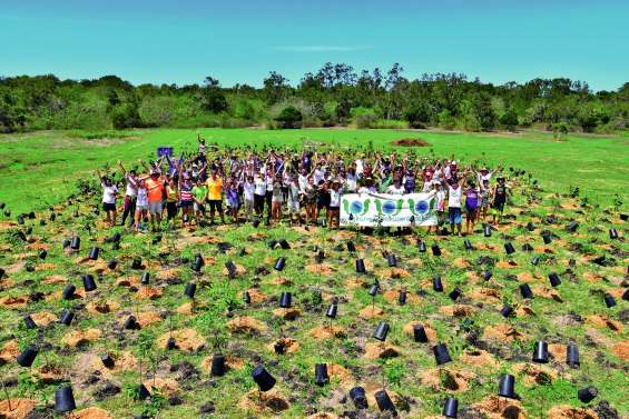 Le domaine de Déva s’enrichit de sept cent vingt-trois arbres