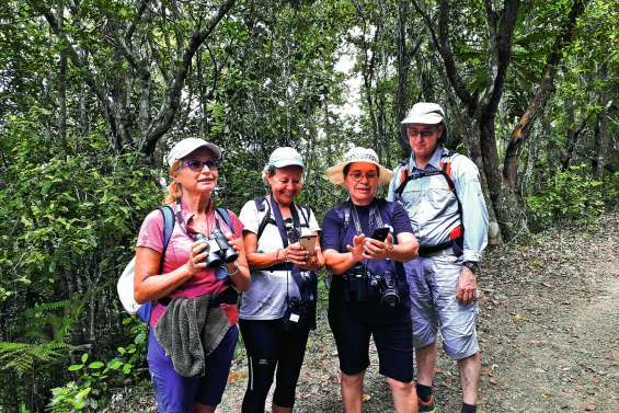 Une appli pour mieux connaître les oiseaux du parc