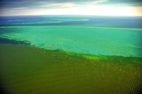 Australie : après les inondations, les sédiments menacent