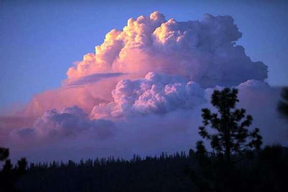 Le sud du pays en proie à de violents feux de forêt