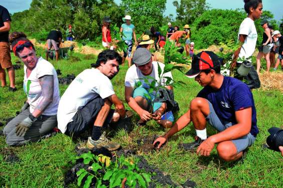 750 nouveaux arbres plantés sur le domaine de Déva