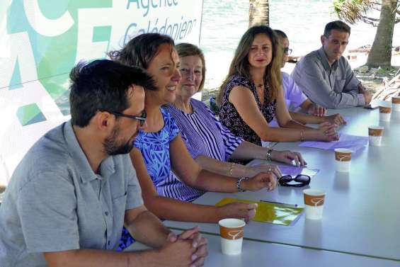 Comment réduire la consommation énergétique chez les professionnels ?