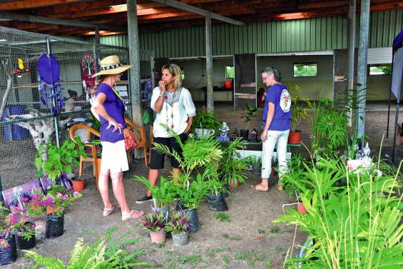 Fête de la génisse : les stands peuvent être réservés