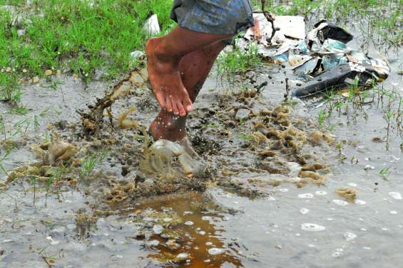 Deux personnes décèdent de la leptospirose à Hienghène