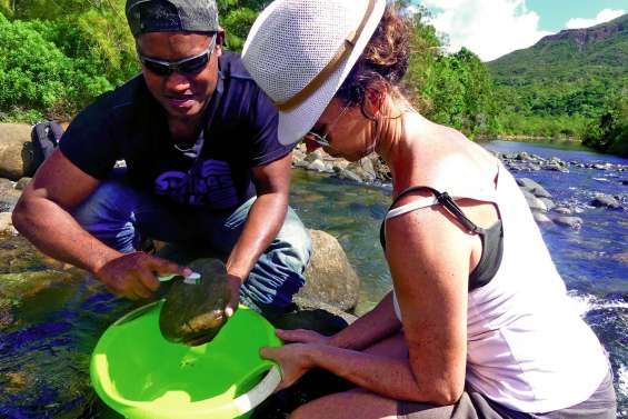 Quand les microalgues révèlent l’état de santé de nos rivières