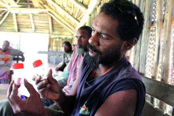 Banutr déclare la guerre à l’insecte tueur de cocotier