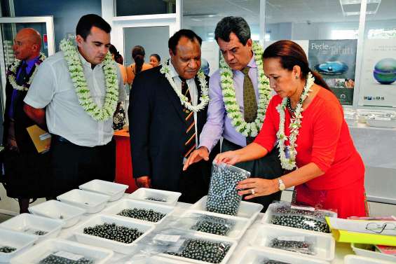 Perle de Tahiti :la filière broie du noir