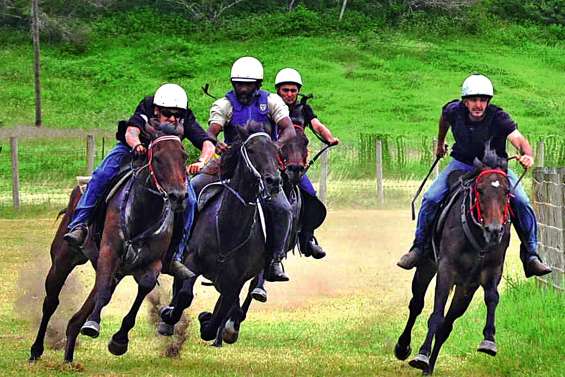 Les résultats de la Fête de la génisse à la broche