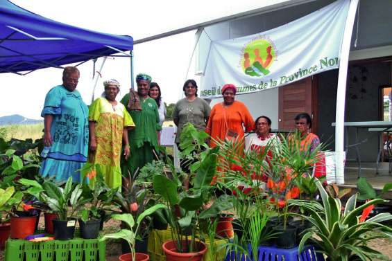 Le marché de la Maison des femmes a trouvé son rythme