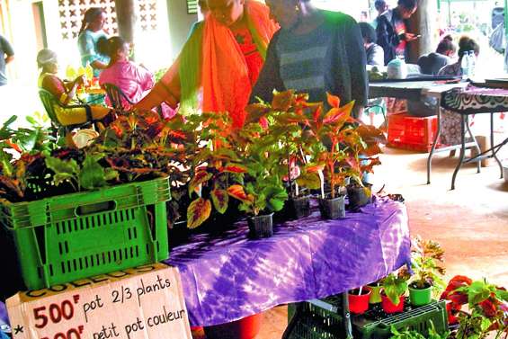 Poro a accueilli son premier grand marché