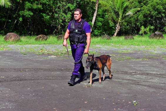 En six mois, l’unité canine de la police municipale s’est fait sa place