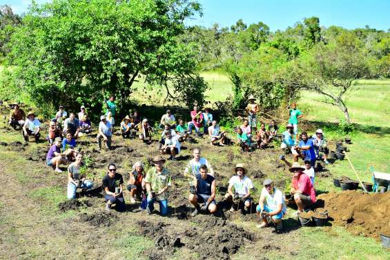 Une plantation en hommage aux victimes de Christchurch