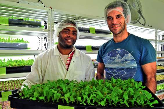 « On veut proposer de la fraîcheur  aux gens, moins chère que l’import »