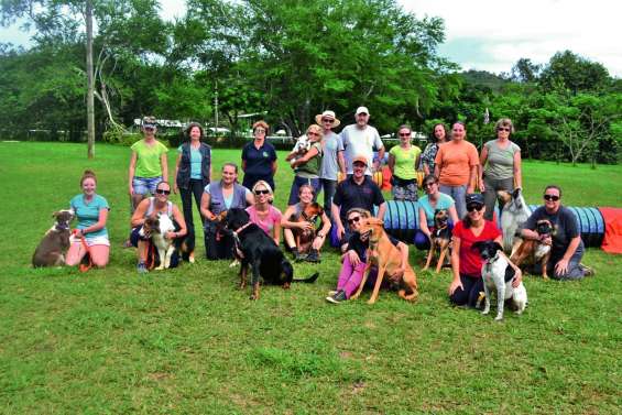 Des chiens et leurs maîtres en stage