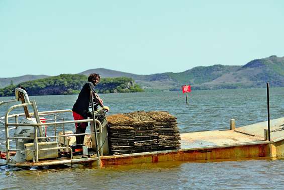 L’Huîtrière de La Dumbéa devant  le Conseil d’Etat