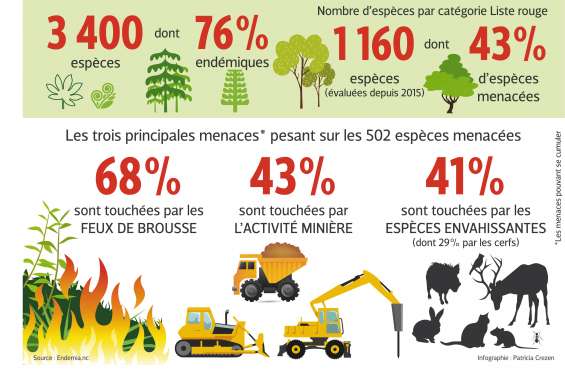 « Il existe encore du trafic de plantes »
