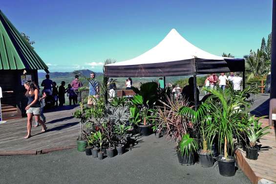 Un marché décalé à cause des élections provinciales