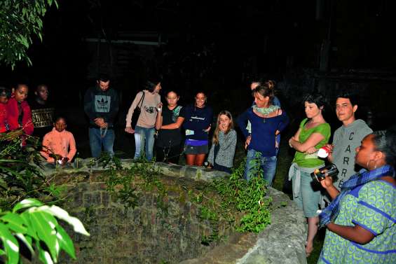 Une autre façon de découvrir le musée