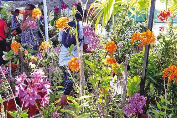 « Un monde en couleur »  au Salon de l’horticulture