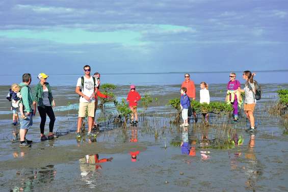 Koumac se dévoile de la mer à la montagne