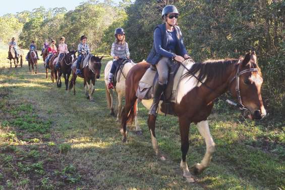 Des vacances au son des sabots à Pocquereux