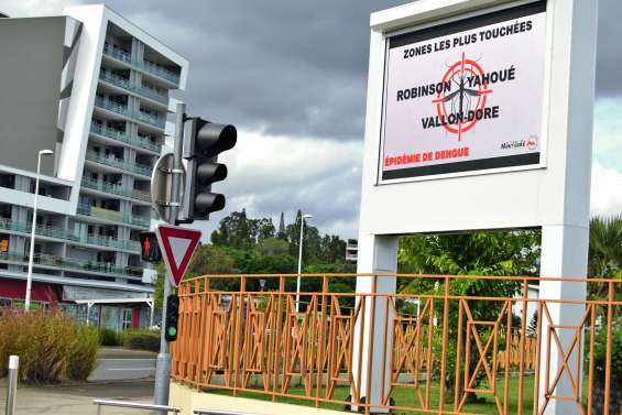 325 cas de dengue sur la commune depuis le 1er janvier