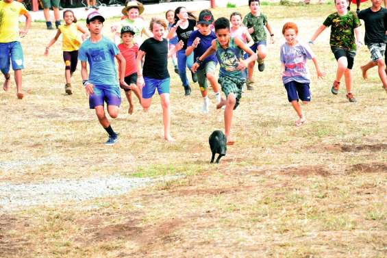 Le cochon a été décliné  à toutes les sauces à Moindah