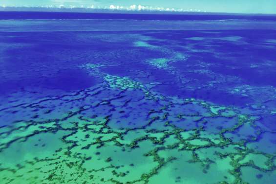 « Les îles du Pacifique sont l’un des épicentres de la crise de la biodiversité »