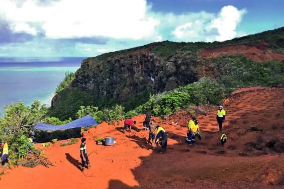 Une mine historique revégétalisée avec 100% de plantes endémiques