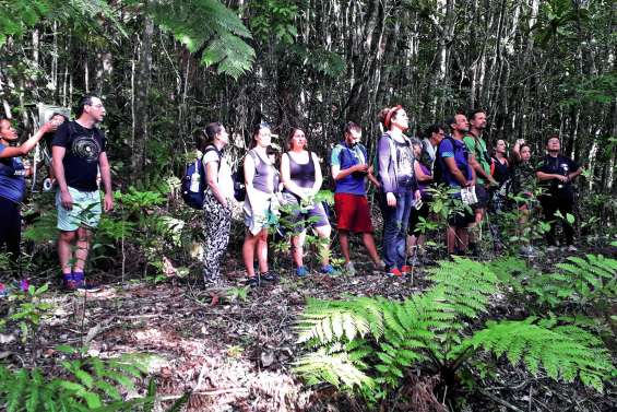 Les oiseaux se méritent au parc des Grandes Fougères