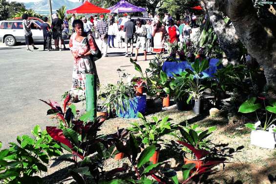 Les visiteurs ont fait une bonne récolte à la Fête du jardin