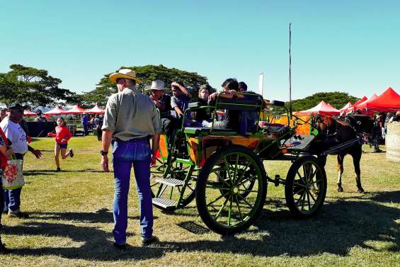 La Fête de l’élevage à l’ancienne a réussi son galop d’essai ce week-end