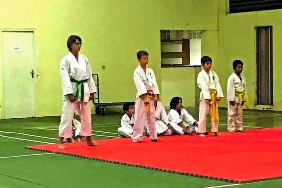 Passage de ceinture et assemblée générale au Pouembout karaté club