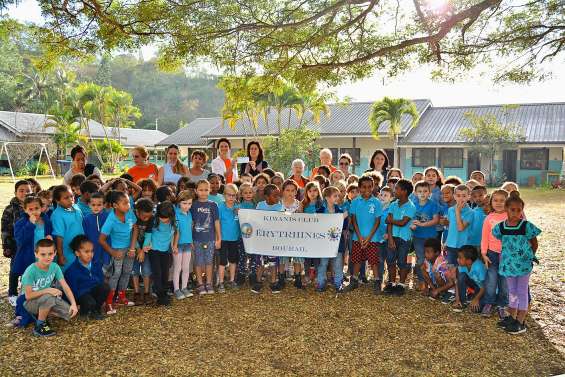 Deux projets éducatifs sur le monde du cheval