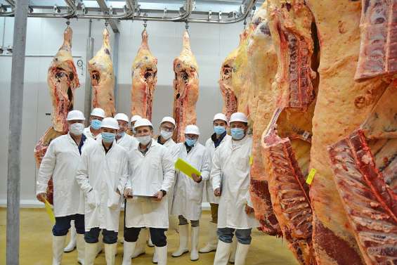 L’Ocef a sélectionné ses plus belles carcasses pour la Foire de Bourail