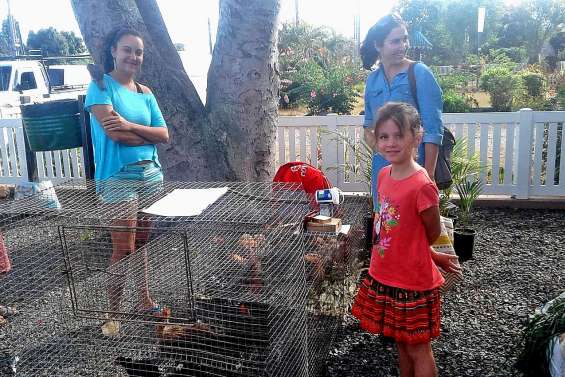 Les visiteurs sont venus picorer au marché spécial poulet