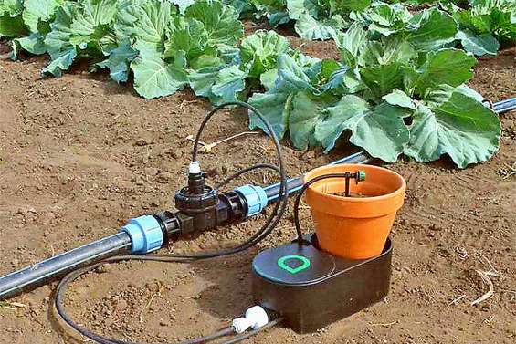 Nouvelle distinction pour la société calédonienne Aqualone