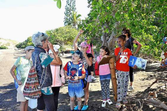 Un mercredi pédagogique très nature